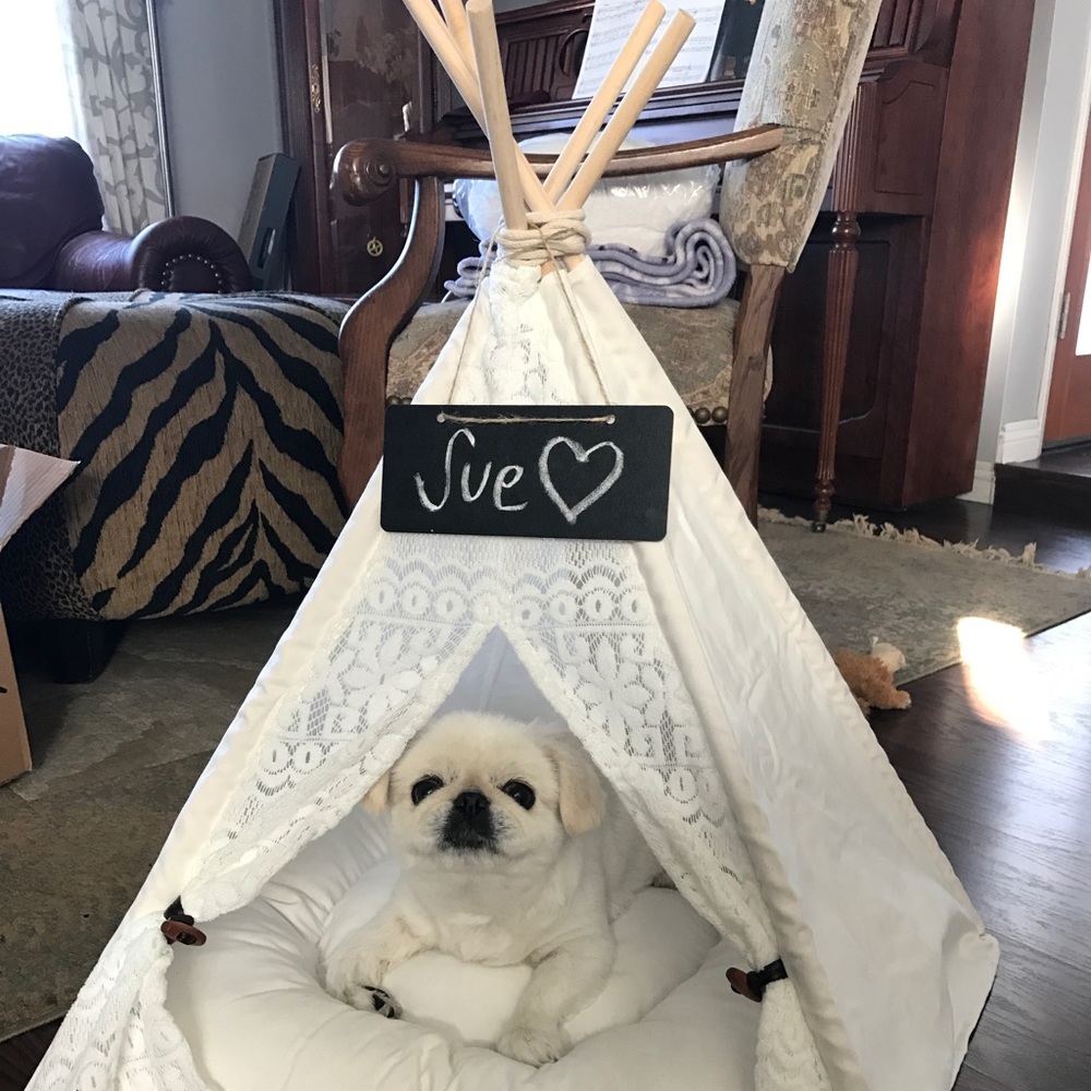 White Lace Dog Teepee